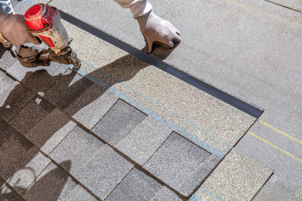 Best Storm Damage Roof Repair  in Hallsville, MO